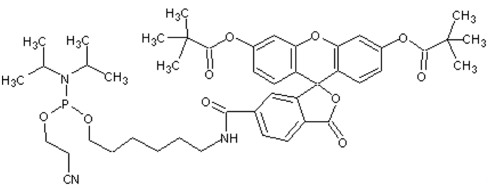5’-Fluorescein phosphoramidite