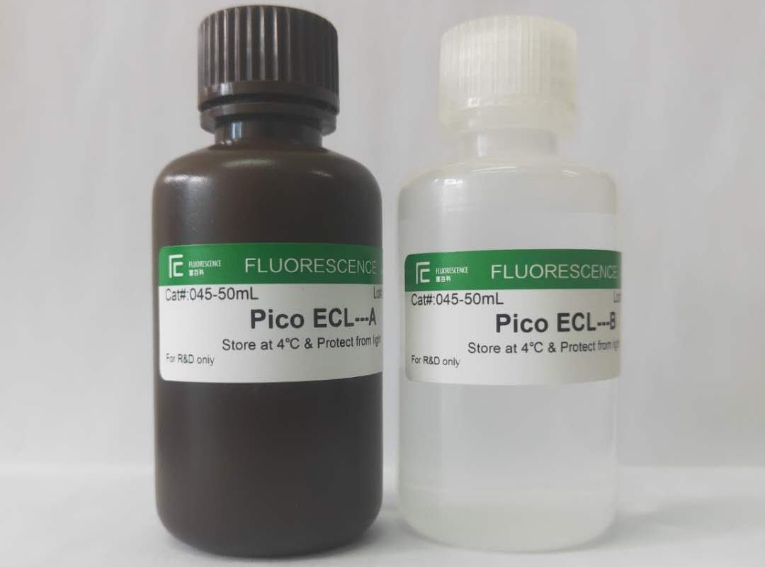 Pico ECL®超敏发光液