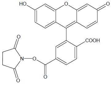 6-FAM, SE [6-Carboxyfluorescein, succinimidyl ester] *Single isomer* 