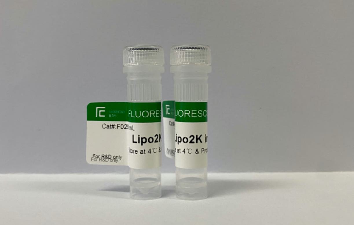 Lipo2K转染试剂