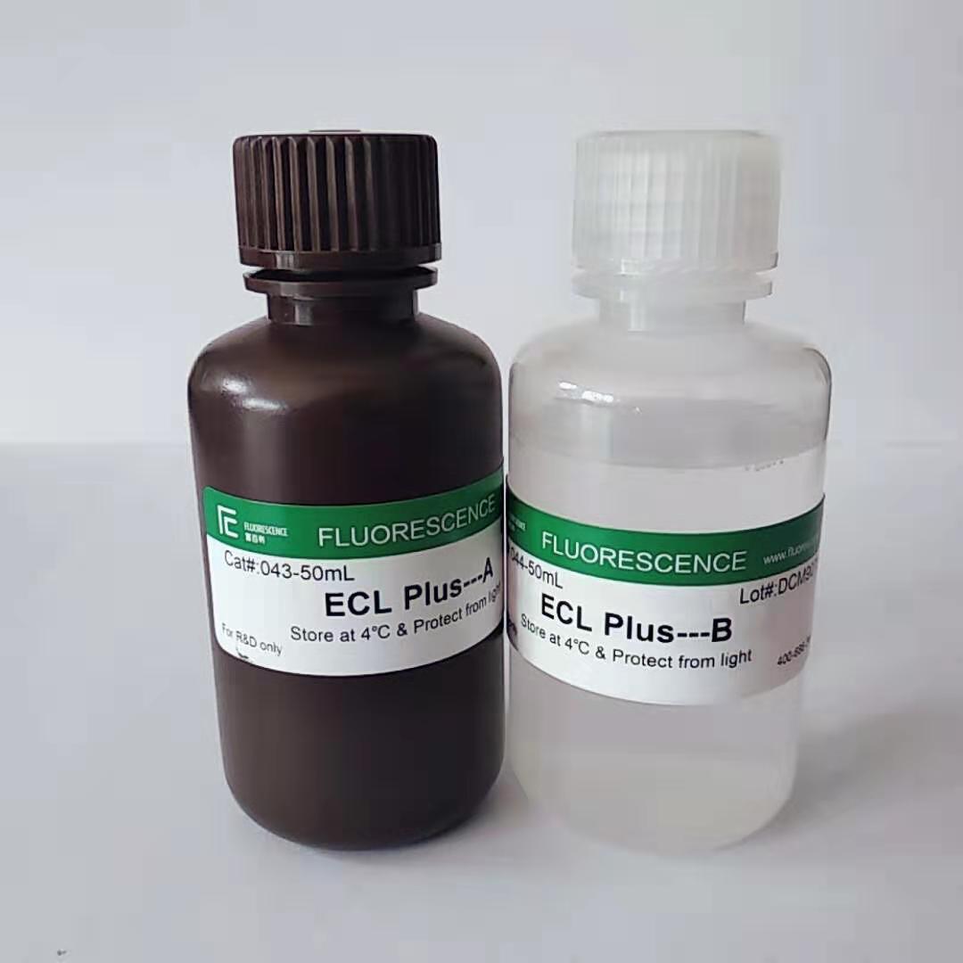 ECL Plus Western Blotting Substrate