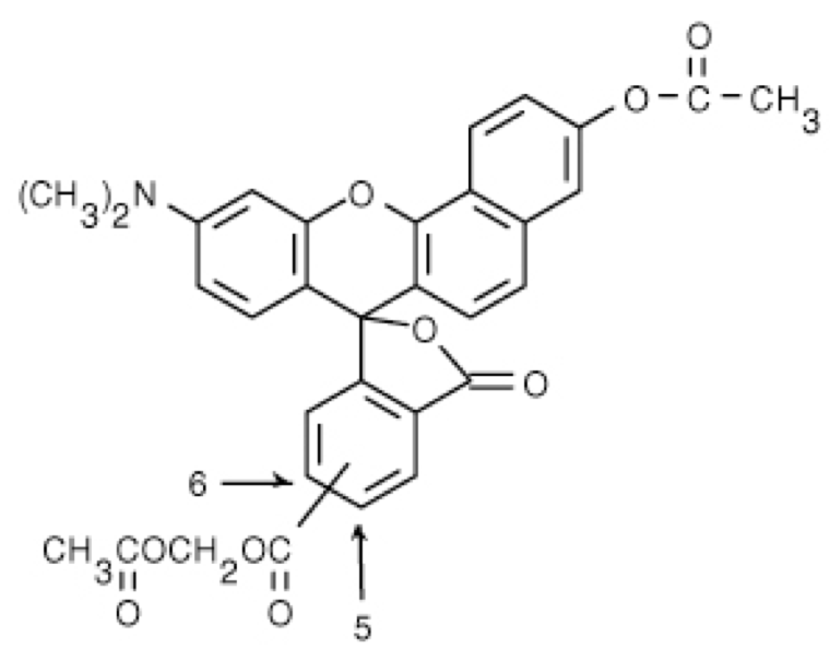 Snarf-1 AM [5-(and-6)-Carboxy SNARF-1, Acetoxymethyl Ester, Acetate]