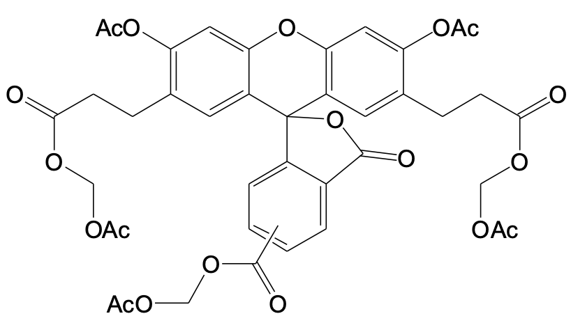 BCECF AM  [2',7'-bis-(2-carboxyethyl)-5-(and-6)-carboxyfluorescein, acetoxymethyl ester]  