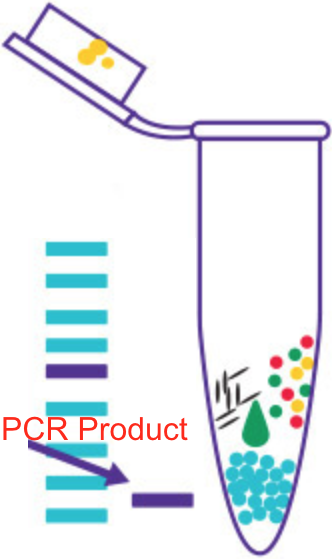 qPCR reagents and kits