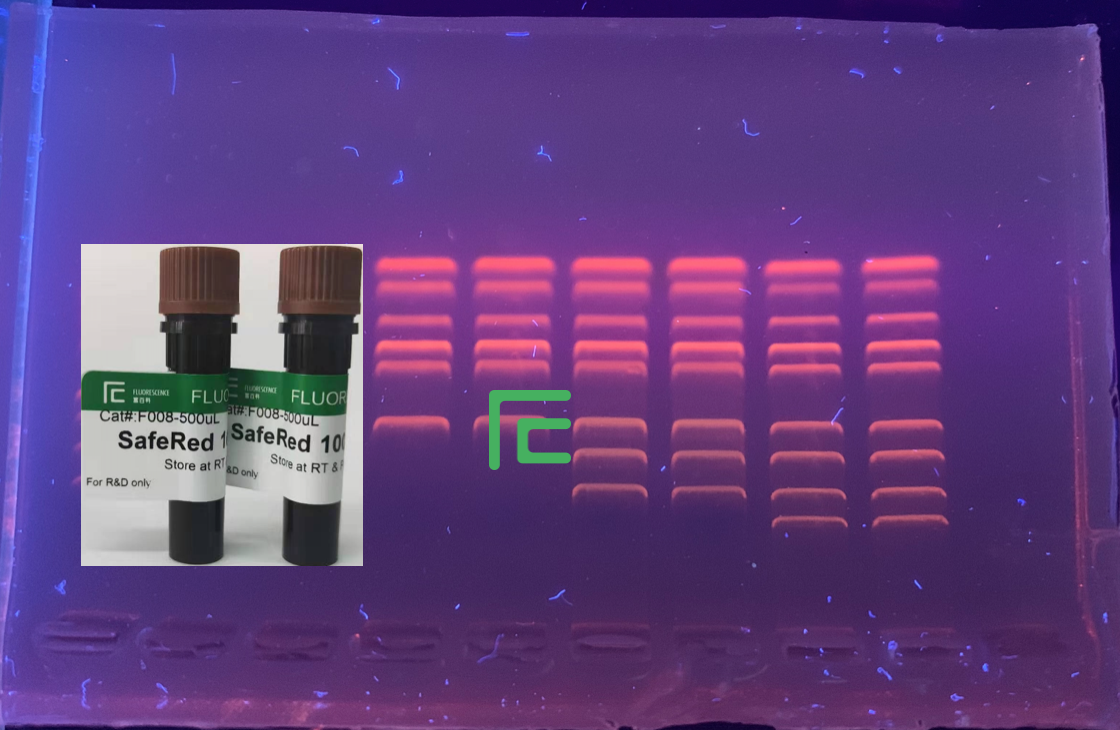 SafeRed® Nucleic Acid Gel Stain is the third generation nonmutagenic fluorescent nucleic acid gel st