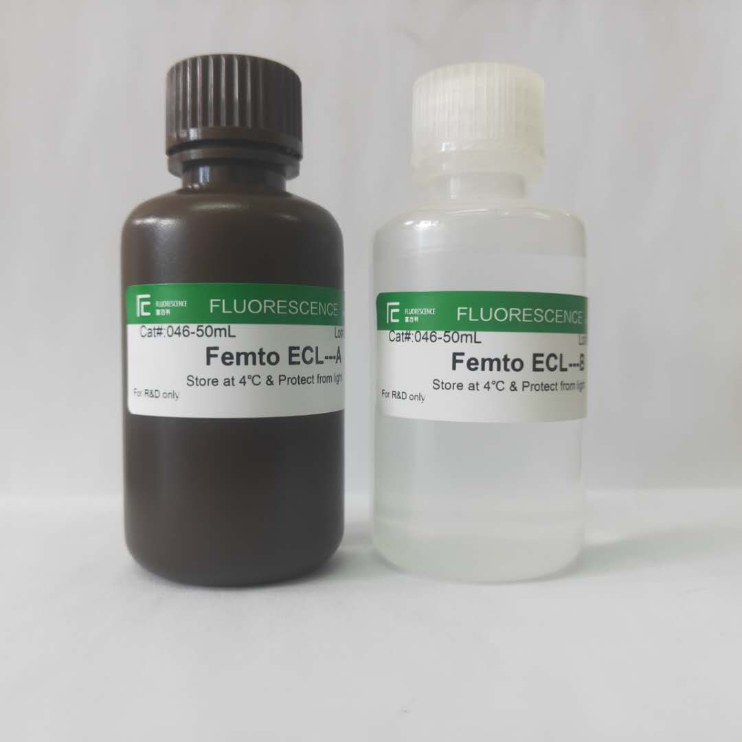  Femto ECL Western Blotting Substrate