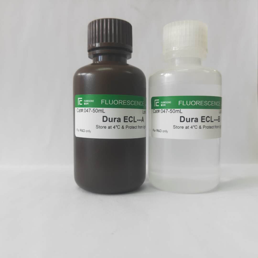 Dura ECL Western Blotting Substrate