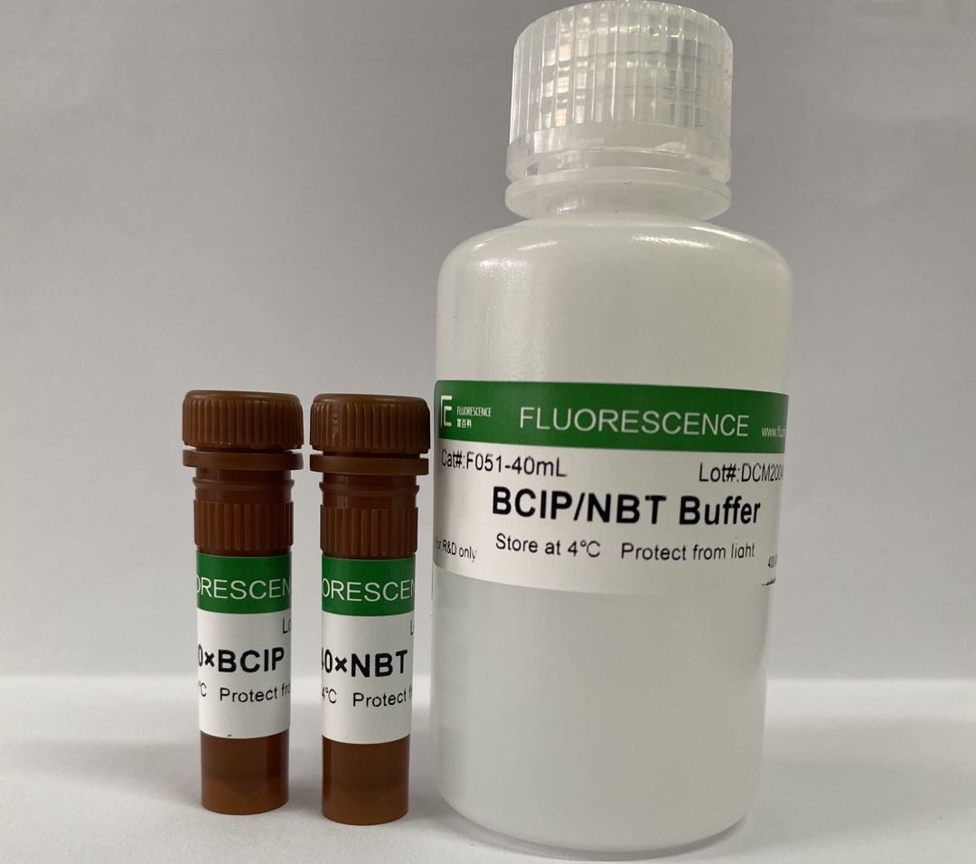BCIP/NBT Kit（40x）碱性磷酸酶显色试剂盒（40x）
