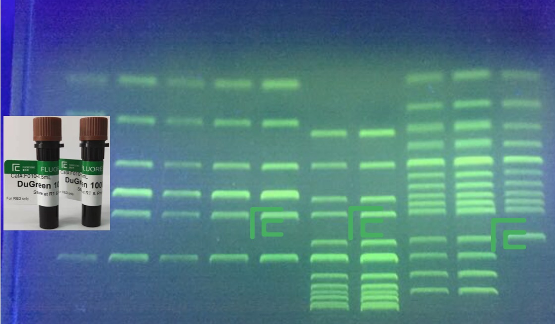 DuGreen Nucleic Acid Gel Stain (~ Sybr Green and GelGreen)
