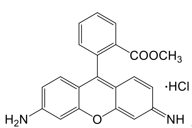 Rhodamine 123 罗丹明123