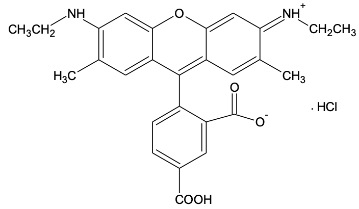 5-CR6G [5-Carboxyrhodamine 6G] *Single isomer*  