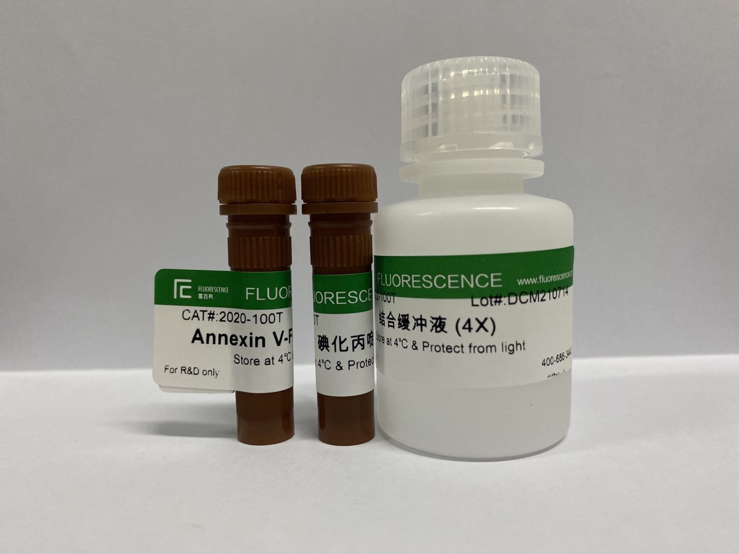 Annexin V-FITC/PI 细胞凋亡检测试剂盒
