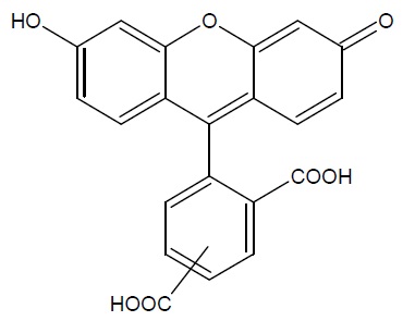 5(6)-FAM