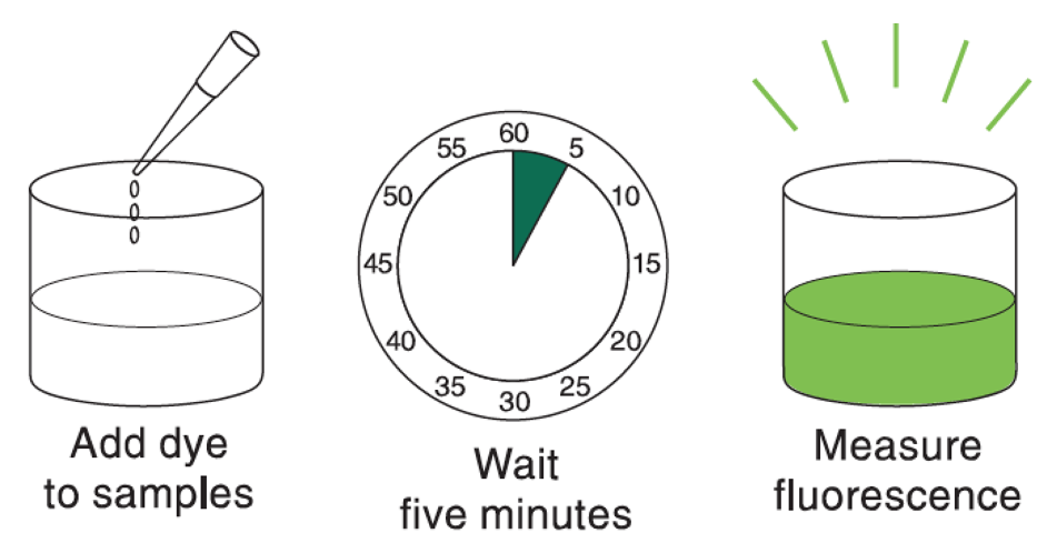 FBKGreen Qubit dsDNA HS Assay Kits 