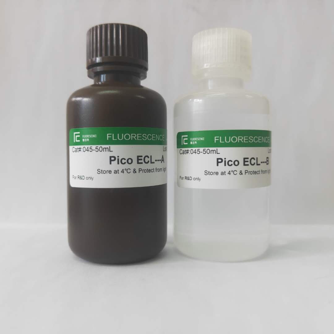 Pico ECL Western Blotting Substrate
