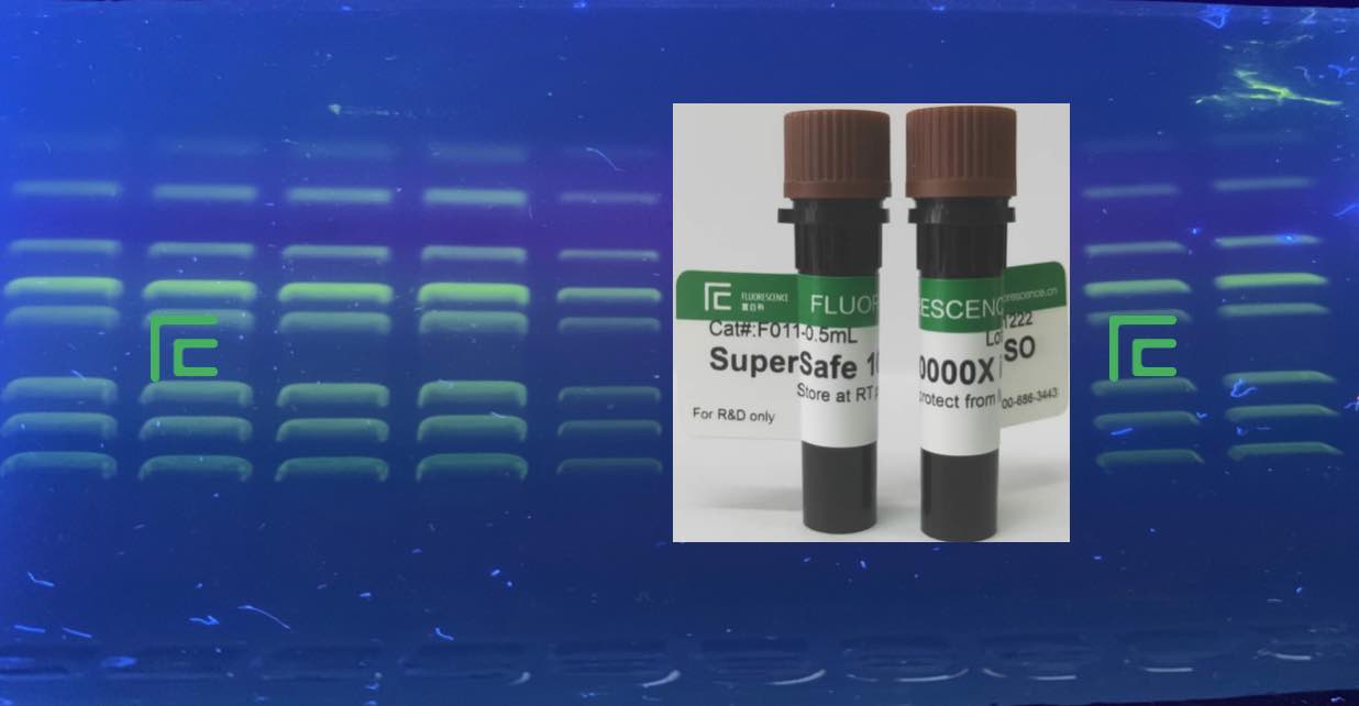Super Safe DNA Gel Stain (~Sybr Safe)